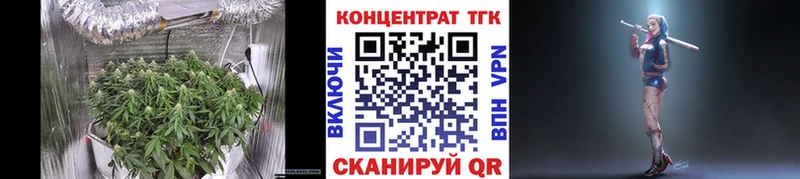 Купить  Городец  ТГК концентрат 