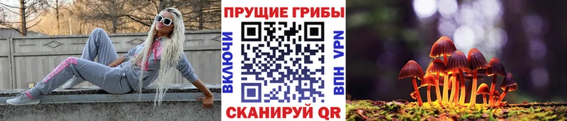 Купить  Городец  Галлюциногенные грибы Psilocybe 